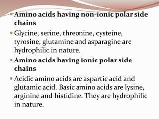  Amino acids having non-ionic polar side
chains
 Glycine, serine, threonine, cysteine,
tyrosine, glutamine and asparagine are
hydrophilic in nature.
 Amino acids having ionic polar side
chains
 Acidic amino acids are aspartic acid and
glutamic acid. Basic amino acids are lysine,
arginine and histidine. They are hydrophilic
in nature.
 