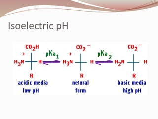 Isoelectric pH
 