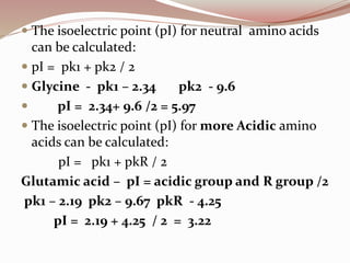  The isoelectric point (pI) for neutral amino acids
can be calculated:
 pI = pk1 + pk2 / 2
 Glycine - pk1 – 2.34 pk2 - 9.6
 pI = 2.34+ 9.6 /2 = 5.97
 The isoelectric point (pI) for more Acidic amino
acids can be calculated:
pI = pk1 + pkR / 2
Glutamic acid – pI = acidic group and R group /2
pk1 – 2.19 pk2 – 9.67 pkR - 4.25
pI = 2.19 + 4.25 / 2 = 3.22
 