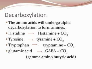 Decarboxylation
 The amino acids will undergo alpha
decarboxylation to form amines.
 Histidine Histamine + CO2
 Tyrosine tyramine + CO2
 Tryptophan tryptamine + CO2
 glutamic acid GABA + CO2
(gamma amino butyric acid)
 