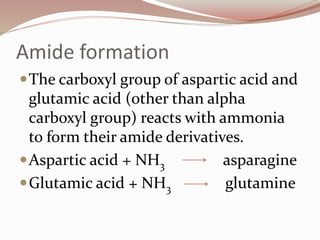 Amide formation
The carboxyl group of aspartic acid and
glutamic acid (other than alpha
carboxyl group) reacts with ammonia
to form their amide derivatives.
Aspartic acid + NH3 asparagine
Glutamic acid + NH3 glutamine
 