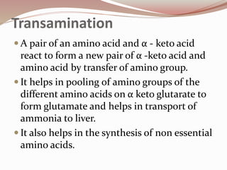 Transamination
 A pair of an amino acid and α - keto acid
react to form a new pair of α -keto acid and
amino acid by transfer of amino group.
 It helps in pooling of amino groups of the
different amino acids on α keto glutarate to
form glutamate and helps in transport of
ammonia to liver.
 It also helps in the synthesis of non essential
amino acids.
 