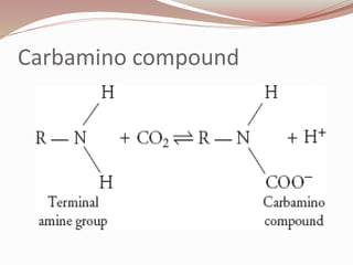 Carbamino compound
 