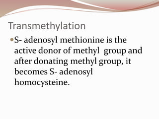 Transmethylation
S- adenosyl methionine is the
active donor of methyl group and
after donating methyl group, it
becomes S- adenosyl
homocysteine.
 