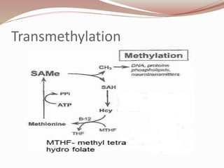 Transmethylation
 