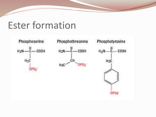 Ester formation
 