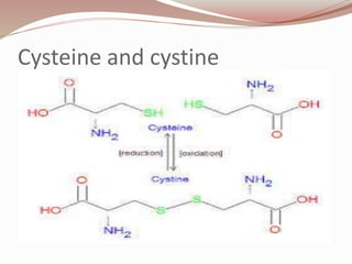 Cysteine and cystine
 