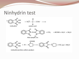 Ninhydrin test
 