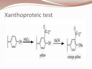 Xanthoproteic test
 