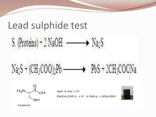 Lead sulphide test
 