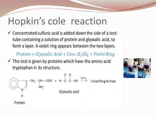 Hopkin’s cole reaction
 