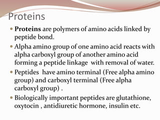 Proteins
 Proteins are polymers of amino acids linked by
peptide bond.
 Alpha amino group of one amino acid reacts with
alpha carboxyl group of another amino acid
forming a peptide linkage with removal of water.
 Peptides have amino terminal (Free alpha amino
group) and carboxyl terminal (Free alpha
carboxyl group) .
 Biologically important peptides are glutathione,
oxytocin , antidiuretic hormone, insulin etc.
 