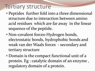 Tertiary structure
 Peptides further fold into a three dimensional
structure due to interaction between amino
acid residues which are far away in the linear
sequence of the peptide.
 Non-covalent forces-Hydrogen bonds,
electrostatic bonds, hydrophobic bonds and
weak van der Waals forces - secondary and
tertiary structure
 Domain is the compact functional unit of a
protein. Eg : catalytic domain of an enzyme ,
regulatory domain of a protein.
 
