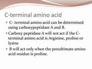 C-terminal amino acid
 C- terminal amino acid can be determined
using carboxypeptidase A and B.
 Carboxy peptidase A will not act if the C-
terminal amino acid is Arginine, proline or
lysine
 B will act only when the penultimate amino
acid residue is proline.
 
