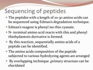 Sequencing of peptides
 The peptides with a length of 10-30 amino acids can
be sequenced using Edman’s degradation technique.
 Edman’s reagent is phenyl iso thio cyanate.
 N- terminal amino acid reacts with this and phenyl
thiohydantoin derivative is formed.
 By this reaction, sequentially amino acids of a
peptide can be identified.
 The amino acids composition of the peptide
subjected to various hydrolyzing agents are arranged
 By overlapping technique ,primary structure can be
elucidated
 