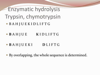 Enzymatic hydrolysis
Trypsin, chymotrypsin
 B A H J U E K I D L I F T G
 B A H J U E K I D L I F T G
 B A H J U E K I D L I F T G
 By overlapping, the whole sequence is determined.
 