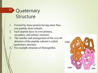 Quaternary
Structure
10
1. Formed by those protein having more than
one peptide chain subunit.
2. Each peptide have its own primary,
secondary, and tertiary structure.
3. The number and arrangement of the over all
structure of the peptide subunit is called
quaternary structure.
4. For example structure of Hemoglobin.
 
