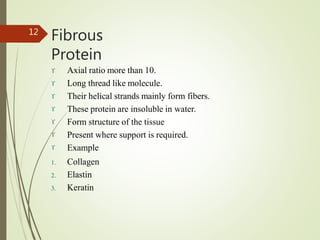Fibrous
Protein
12







Axial ratio more than 10.
Long thread like molecule.
Their helical strands mainly form fibers.
These protein are insoluble in water.
Form structure of the tissue
Present where support is required.
Example
1. Collagen
2. Elastin
3. Keratin
 