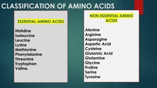 CLASSIFICATION OF AMINO ACIDS
ESSENTIAL AMINO ACIDS
Histidine
Isoleucine
Leucine
Lysine
Methionine
Phenylalanine
Threonine
Tryptophan
Valine.
NON ESSENTIAL AMINO
ACIDS
Alanine
Arginine
Asparagine
Aspartic Acid
Cysteine
Glutamic Acid
Glutamine
Glycine
Proline
Serine
Tyrosine
 