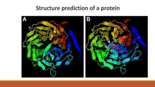 Structure prediction of a protein
 