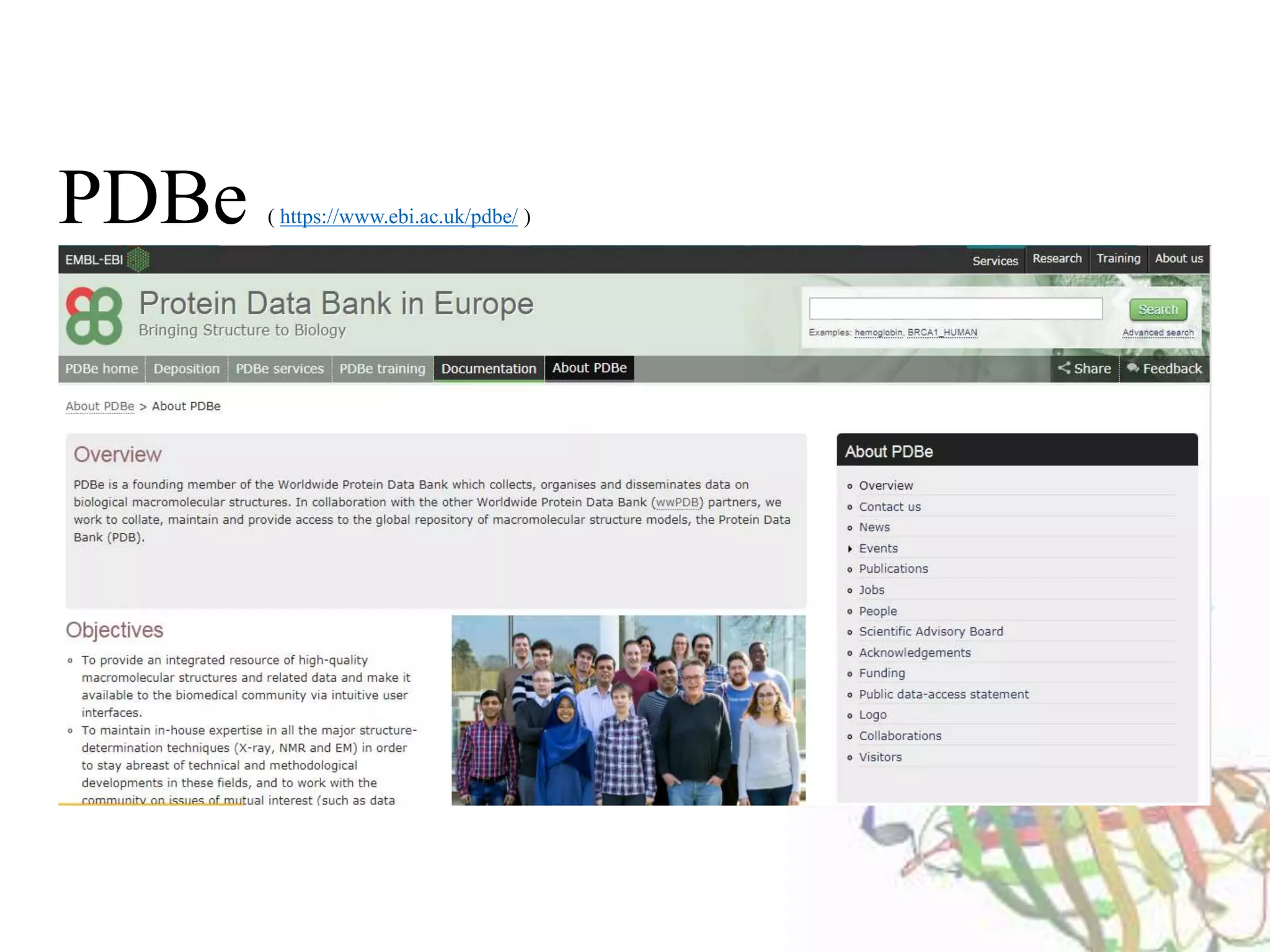Protein data bank | PPTX