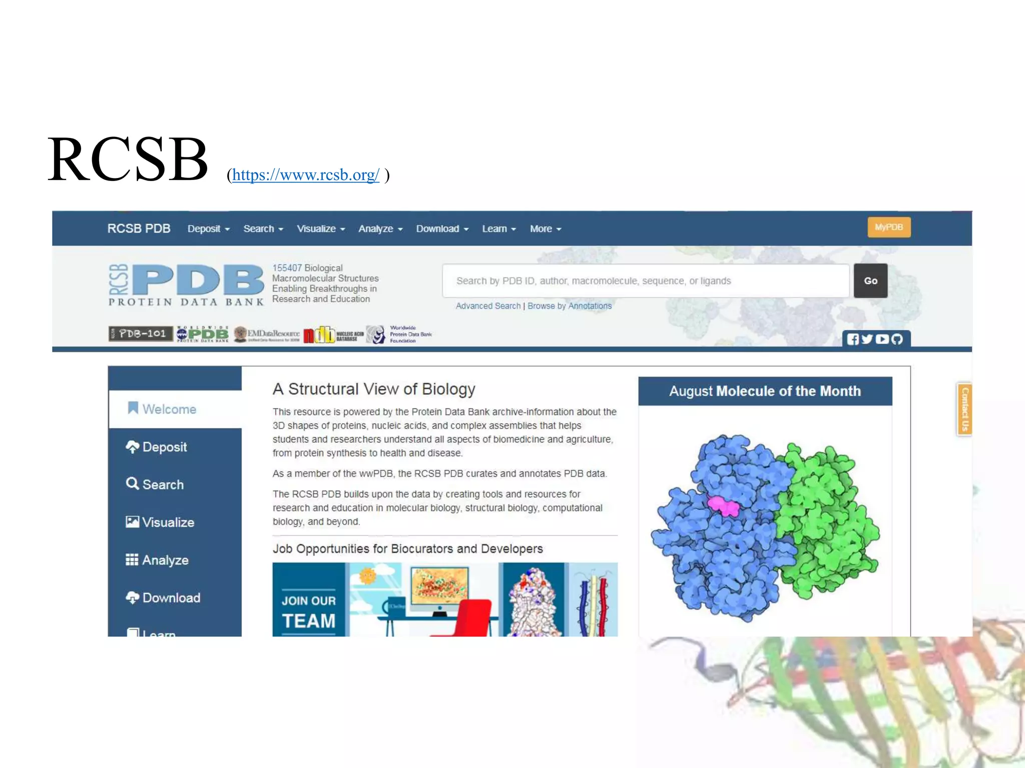Protein data bank | PPTX