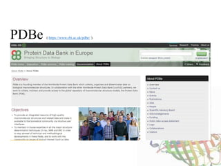 PDBe ( https://www.ebi.ac.uk/pdbe/ )
 