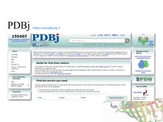 PDBj ( https://www.pdbj.org/ )
 