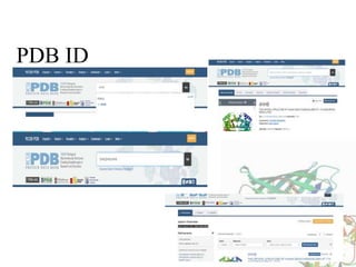 PDB ID
 