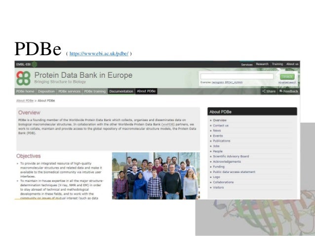Protein Data Bank