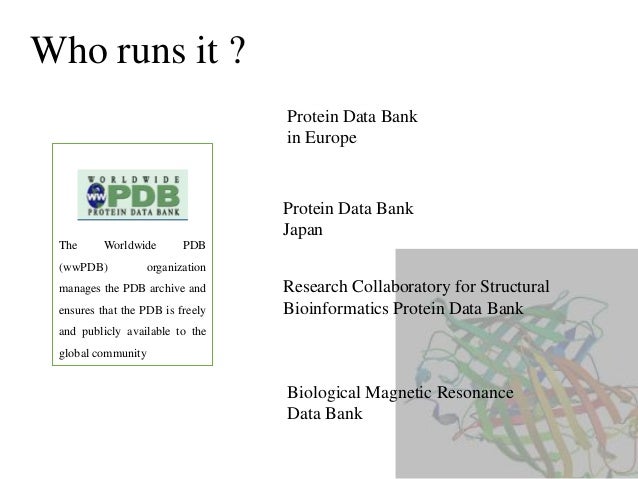 Protein Data Bank