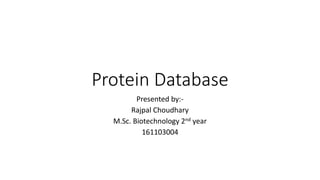 Protein Database
Presented by:-
Rajpal Choudhary
M.Sc. Biotechnology 2nd year
161103004
 