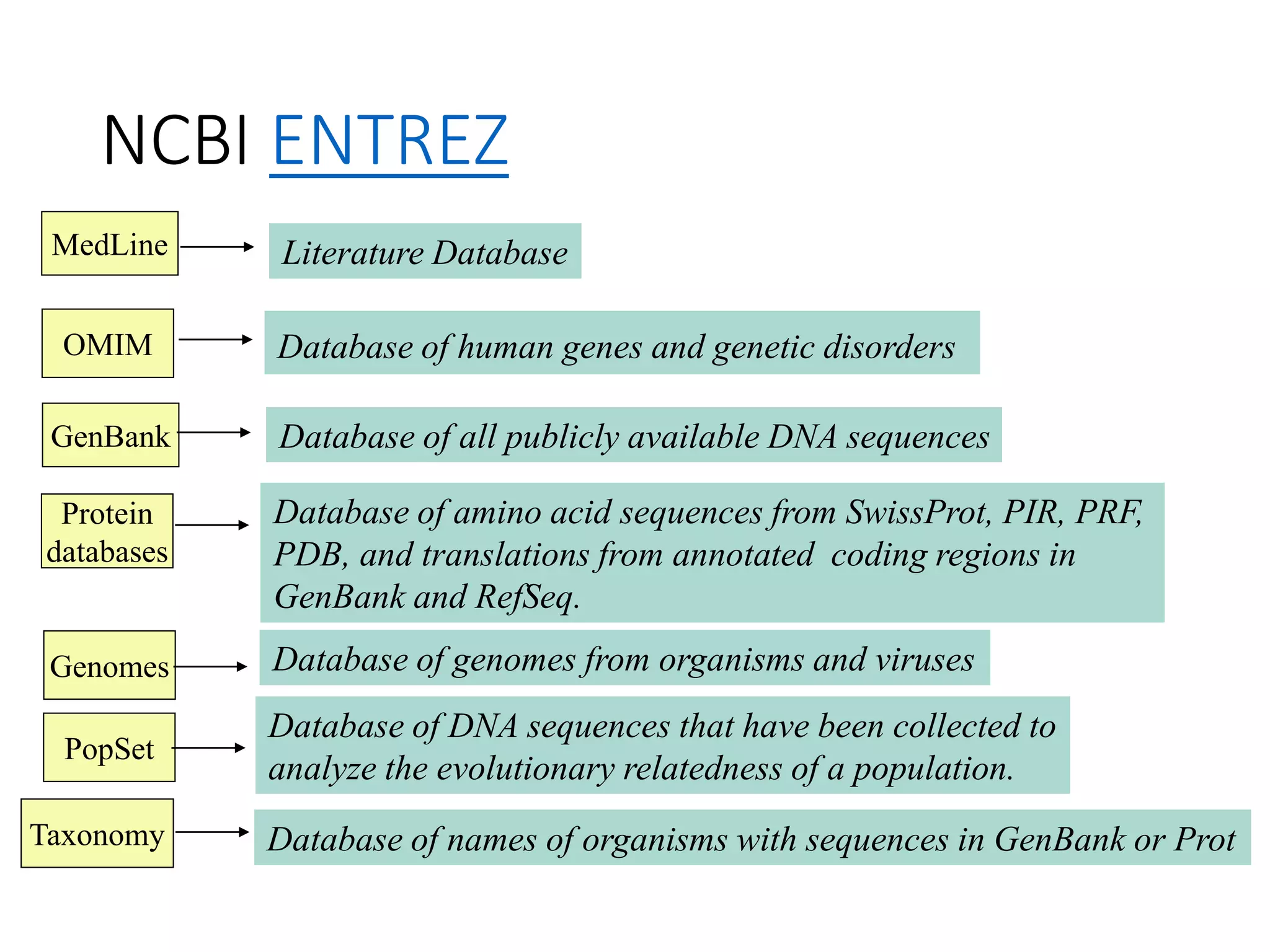 NCBI ENTREZ
GenBank
Protein
databases
Genomes
PopSet
Taxonomy
OMIM
MedLine Literature Database
Database of DNA sequences that have been collected to
analyze the evolutionary relatedness of a population.
Database of human genes and genetic disorders
Database of all publicly available DNA sequences
Database of amino acid sequences from SwissProt, PIR, PRF,
PDB, and translations from annotated coding regions in
GenBank and RefSeq.
Database of genomes from organisms and viruses
Database of names of organisms with sequences in GenBank or Prot
 