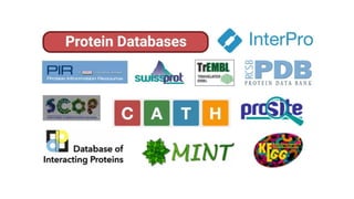 Protein Databases In Bioinformatics Pptx Protein Databases In Bioinformatics Pptx