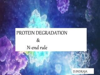 PROTEIN DEGRADATION
&
N-end rule
D.INDRAJA
 