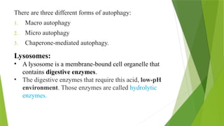 There are three different forms of autophagy:
1. Macro autophagy
2. Micro autophagy
3. Chaperone-mediated autophagy.
Lysosomes:
• A lysosome is a membrane-bound cell organelle that
contains digestive enzymes.
• The digestive enzymes that require this acid, low-pH
environment. Those enzymes are called hydrolytic
enzymes.
 