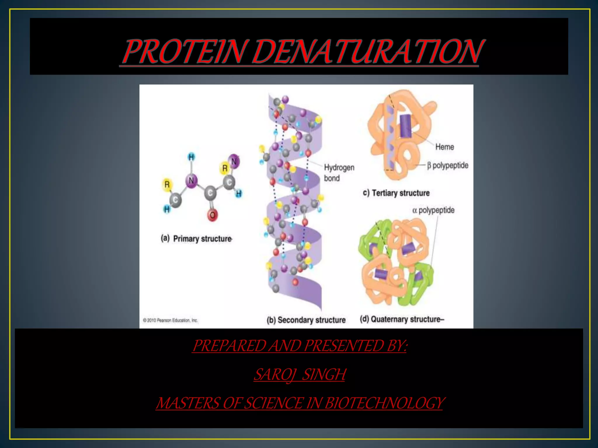Protein denaturation PPT