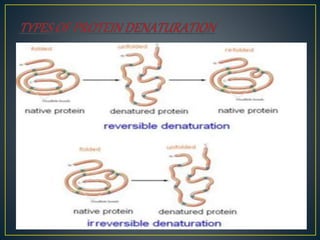 Protein denaturation | PPTX