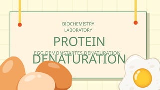 Biochemistry - Lesson 1 Protein Denaturation | PPTX