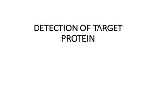 DETECTION OF TARGET
PROTEIN
 