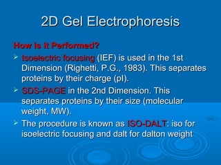 2D Gel Electrophoresis2D Gel Electrophoresis
How is it Performed?How is it Performed?
 Isoelectric focusingIsoelectric focusing (IEF) is used in the 1st(IEF) is used in the 1st
Dimension (Righetti, P.G., 1983). This separatesDimension (Righetti, P.G., 1983). This separates
proteins by their charge (pI).proteins by their charge (pI).
 SDS-PAGESDS-PAGE in the 2nd Dimension. Thisin the 2nd Dimension. This
separates proteins by their size (molecularseparates proteins by their size (molecular
weight, MW).weight, MW).
 The procedure is known asThe procedure is known as ISO-DALTISO-DALT: iso for: iso for
isoelectric focusing and dalt for dalton weightisoelectric focusing and dalt for dalton weight
 