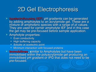 2D Gel Electrophoresis2D Gel Electrophoresis
 Ispelectrofocusing (IEF)Ispelectrofocusing (IEF) pH gradients can be generatedpH gradients can be generated
by adding ampholytes to an acrylamide gel. These are aby adding ampholytes to an acrylamide gel. These are a
mixture of amphoteric species with a range of pI values.mixture of amphoteric species with a range of pI values.
They are used for carrier ampholyte IEF and in this caseThey are used for carrier ampholyte IEF and in this case
the gel may be pre-focused before sample application.the gel may be pre-focused before sample application.
 Ampholyte properties:Ampholyte properties:

Even conductivityEven conductivity

High buffering capacityHigh buffering capacity

Soluble at isoelectric pointSoluble at isoelectric point

Minimum interaction with focused proteinsMinimum interaction with focused proteins
 ImmobilinesImmobilines, s, similar to Ampholytes but have beenimilar to Ampholytes but have been
immobilised within the polyacrylamide gel producing animmobilised within the polyacrylamide gel producing an
immobilised pH gradient or IPG that does not need to beimmobilised pH gradient or IPG that does not need to be
pre-focused.pre-focused.
 