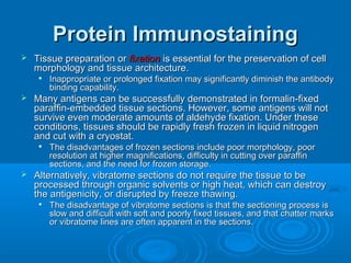 Protein ImmunostainingProtein Immunostaining
 Tissue preparation orTissue preparation or fixationfixation is essential for the preservation of cellis essential for the preservation of cell
morphology and tissue architecture.morphology and tissue architecture.

Inappropriate or prolonged fixation may significantly diminish the antibodyInappropriate or prolonged fixation may significantly diminish the antibody
binding capability.binding capability.
 Many antigens can be successfully demonstrated in formalin-fixedMany antigens can be successfully demonstrated in formalin-fixed
paraffin-embedded tissue sections. However, some antigens will notparaffin-embedded tissue sections. However, some antigens will not
survive even moderate amounts of aldehyde fixation. Under thesesurvive even moderate amounts of aldehyde fixation. Under these
conditions, tissues should be rapidly fresh frozen in liquid nitrogenconditions, tissues should be rapidly fresh frozen in liquid nitrogen
and cut with a cryostat.and cut with a cryostat.

The disadvantages of frozen sections include poor morphology, poorThe disadvantages of frozen sections include poor morphology, poor
resolution at higher magnifications, difficulty in cutting over paraffinresolution at higher magnifications, difficulty in cutting over paraffin
sections, and the need for frozen storage.sections, and the need for frozen storage.
 Alternatively, vibratome sections do not require the tissue to beAlternatively, vibratome sections do not require the tissue to be
processed through organic solvents or high heat, which can destroyprocessed through organic solvents or high heat, which can destroy
the antigenicity, or disrupted by freeze thawing.the antigenicity, or disrupted by freeze thawing.

The disadvantage of vibratome sections is that the sectioning process isThe disadvantage of vibratome sections is that the sectioning process is
slow and difficult with soft and poorly fixed tissues, and that chatter marksslow and difficult with soft and poorly fixed tissues, and that chatter marks
or vibratome lines are often apparent in the sections.or vibratome lines are often apparent in the sections.
 