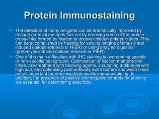 Protein ImmunostainingProtein Immunostaining
 The detection of many antigens can be dramatically improved byThe detection of many antigens can be dramatically improved by
antigen retrievalantigen retrieval methods that act by breaking some of the proteinmethods that act by breaking some of the protein
cross-links formed by fixation to uncover hidden antigenic sites. Thiscross-links formed by fixation to uncover hidden antigenic sites. This
can be accomplished by heating for varying lengths of times (heatcan be accomplished by heating for varying lengths of times (heat
induced epitope retrieval or HIER) or using enzyme digestioninduced epitope retrieval or HIER) or using enzyme digestion
(proteolytic induced epitope retrieval or PIER).(proteolytic induced epitope retrieval or PIER).
 One of the main difficulties with IHC staining is overcoming specificOne of the main difficulties with IHC staining is overcoming specific
or non-specific background. Optimisation of fixation methods andor non-specific background. Optimisation of fixation methods and
times, pre-treatment with blocking agents, incubating antibodies withtimes, pre-treatment with blocking agents, incubating antibodies with
high salt, and optimising post-antibody wash buffers and wash timeshigh salt, and optimising post-antibody wash buffers and wash times
are all important for obtaining high quality immunostaining. Inare all important for obtaining high quality immunostaining. In
addition, the presence of positive and negative controls for stainingaddition, the presence of positive and negative controls for staining
are essential for determining specificity.are essential for determining specificity.
 