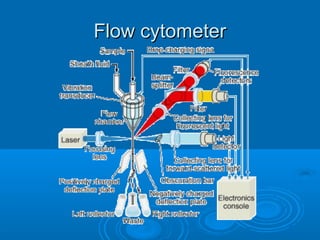 Flow cytometerFlow cytometer
 