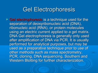 Gel ElectrophoresisGel Electrophoresis
 Gel electrophoresisGel electrophoresis is a technique used for theis a technique used for the
separation of deoxyribonucleic acid (DNA),separation of deoxyribonucleic acid (DNA),
ribonucleic acid (RNA), or protein moleculesribonucleic acid (RNA), or protein molecules
using an electric current applied to a gel matrix.using an electric current applied to a gel matrix.
DNA Gel electrophoresis is generally only usedDNA Gel electrophoresis is generally only used
after amplification of DNA via PCR. It is usuallyafter amplification of DNA via PCR. It is usually
performed for analytical purposes, but may beperformed for analytical purposes, but may be
used as a preparative technique prior to use ofused as a preparative technique prior to use of
other methods such as mass spectrometry,other methods such as mass spectrometry,
PCR, cloning, DNA sequencing, Southern andPCR, cloning, DNA sequencing, Southern and
Western Blotting for further characterization.Western Blotting for further characterization.
 