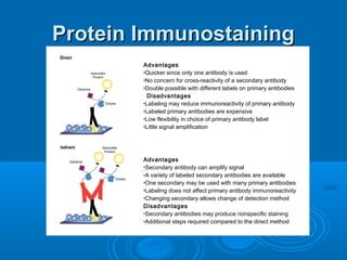 Protein ImmunostainingProtein Immunostaining
                                           
Advantages
•Quicker since only one antibody is used
•No concern for cross-reactivity of a secondary antibody
•Double possible with different labels on primary antibodies
  Disadvantages
•Labeling may reduce immunoreactivity of primary antibody
•Labeled primary antibodies are expensive
•Low flexibility in choice of primary antibody label
•Little signal amplification
                                                      
Advantages
•Secondary antibody can amplify signal
•A variety of labeled secondary antibodies are available
•One secondary may be used with many primary antibodies
•Labeling does not affect primary antibody immunoreactivity
•Changing secondary allows change of detection method
Disadvantages
•Secondary antibodies may produce nonspecific staining
•Additional steps required compared to the direct method
 