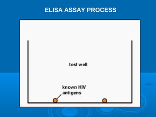 ELISA ASSAY PROCESS
 