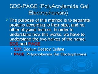 SDS-PAGE (PolyAcrylamide GelSDS-PAGE (PolyAcrylamide Gel
Electrophoresis)Electrophoresis)
 The purpose of this method is to separateThe purpose of this method is to separate
proteins according to their size, and noproteins according to their size, and no
other physical feature. In order toother physical feature. In order to
understand how this works, we have tounderstand how this works, we have to
understand the two halves of the name:understand the two halves of the name:
SDSSDS andand PAGEPAGE

SDS:SDS: Sodium Dodecyl SulfateSodium Dodecyl Sulfate

PAGE:PAGE: Polyacrylamide Gel ElectrophoresisPolyacrylamide Gel Electrophoresis
 