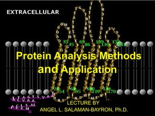 Protein Analysis MethodsProtein Analysis Methods
andand ApplicationApplication
LECTURE BYLECTURE BY
ANGEL L. SALAMAN-BAYRON, Ph.D.ANGEL L. SALAMAN-BAYRON, Ph.D.
 